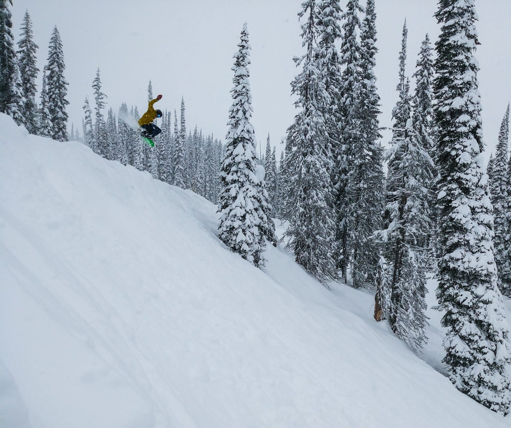 snowboarder jumping at revelstoke mountain resort