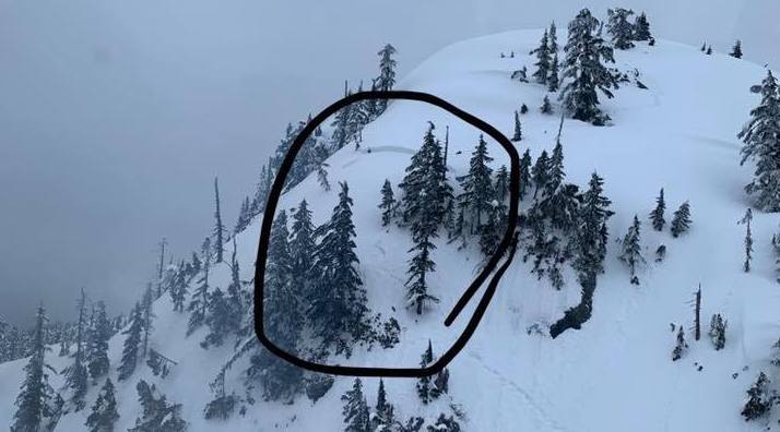 avalanche, snowshoer, rescue, missing