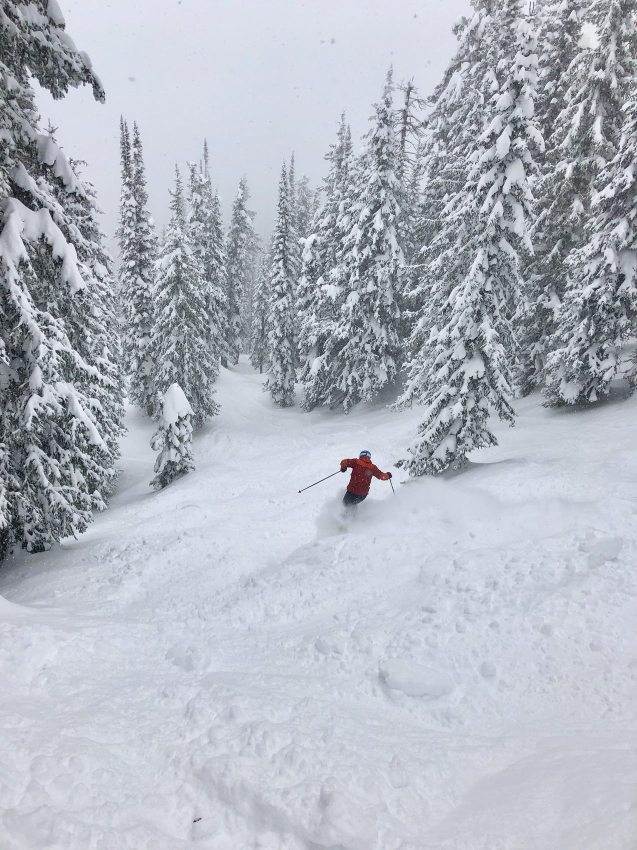 You Haven't Skied Until You've Skied Champagne Powder - Snowbrains