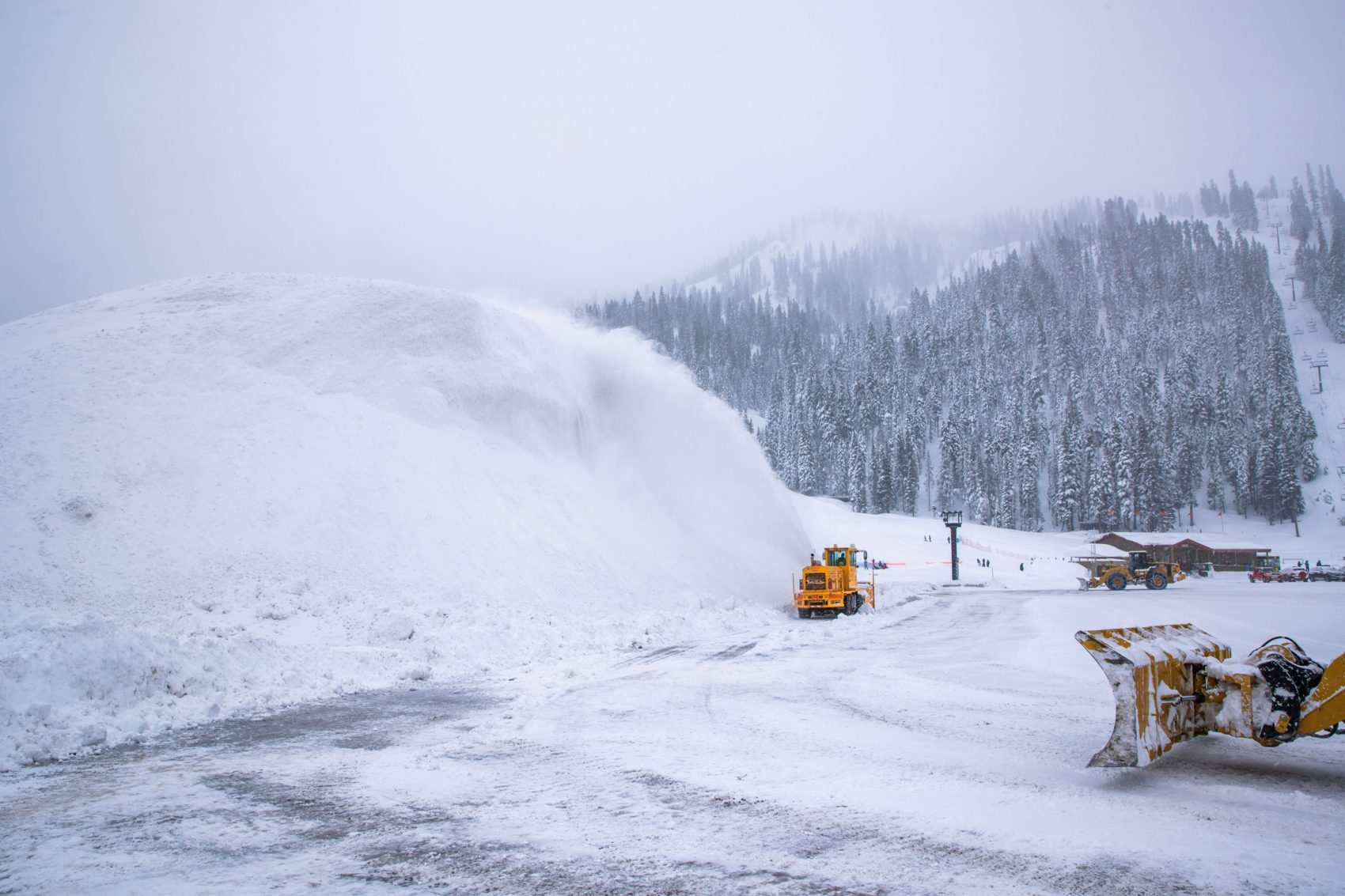 Squaw Valley, california, alpine meadows