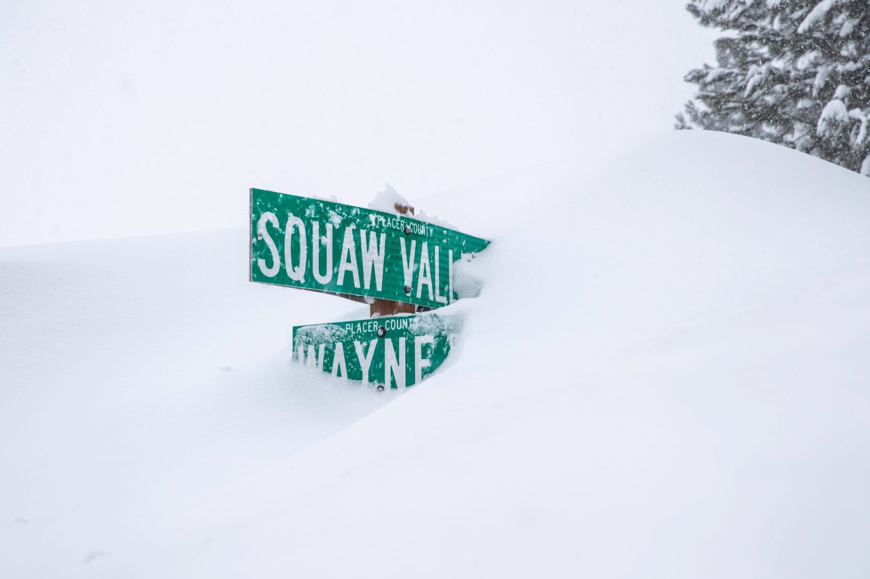 Squaw Valley, california, alpine meadows