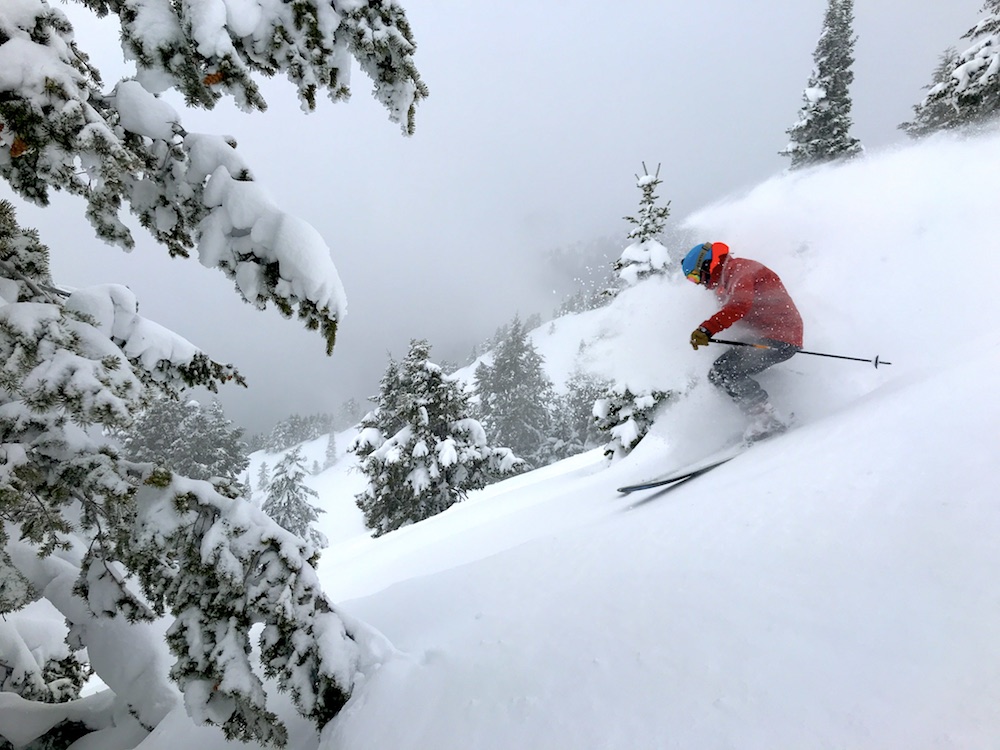 skier skiing deep powder in the trees at Jackson Hole the hobacks
