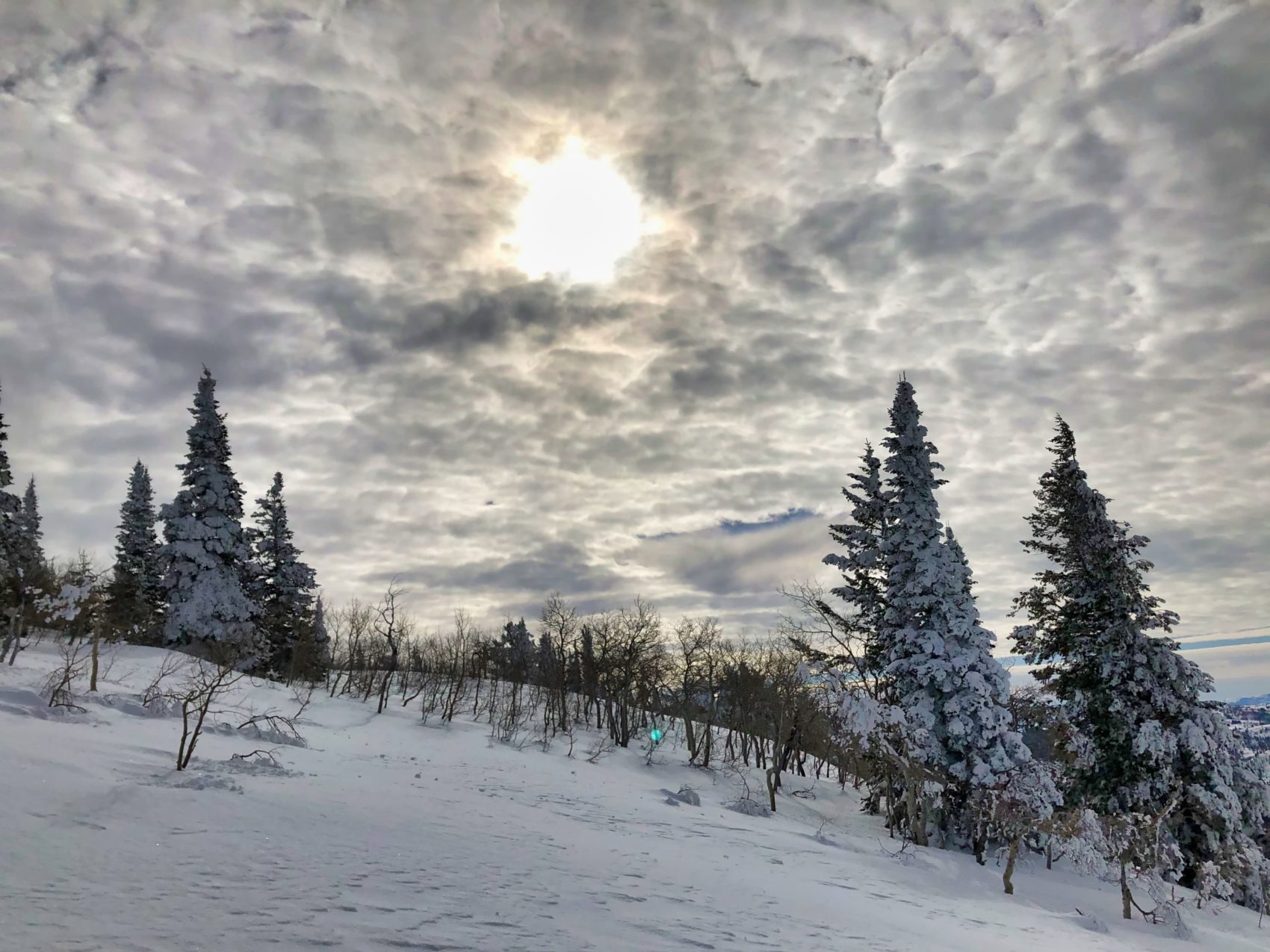 whisper ridge, Heli-skiing, utah