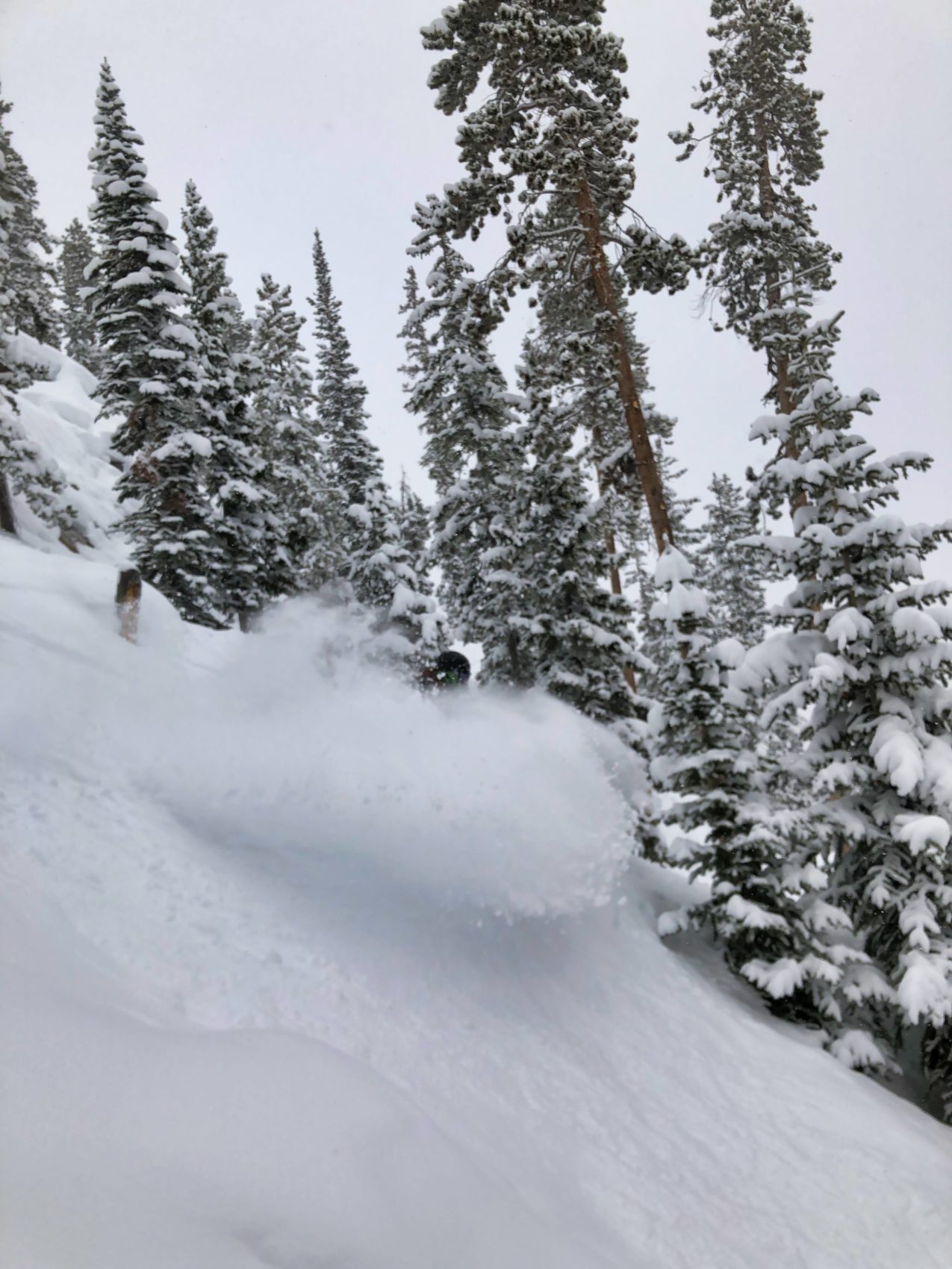 winter park, colorado, powder day