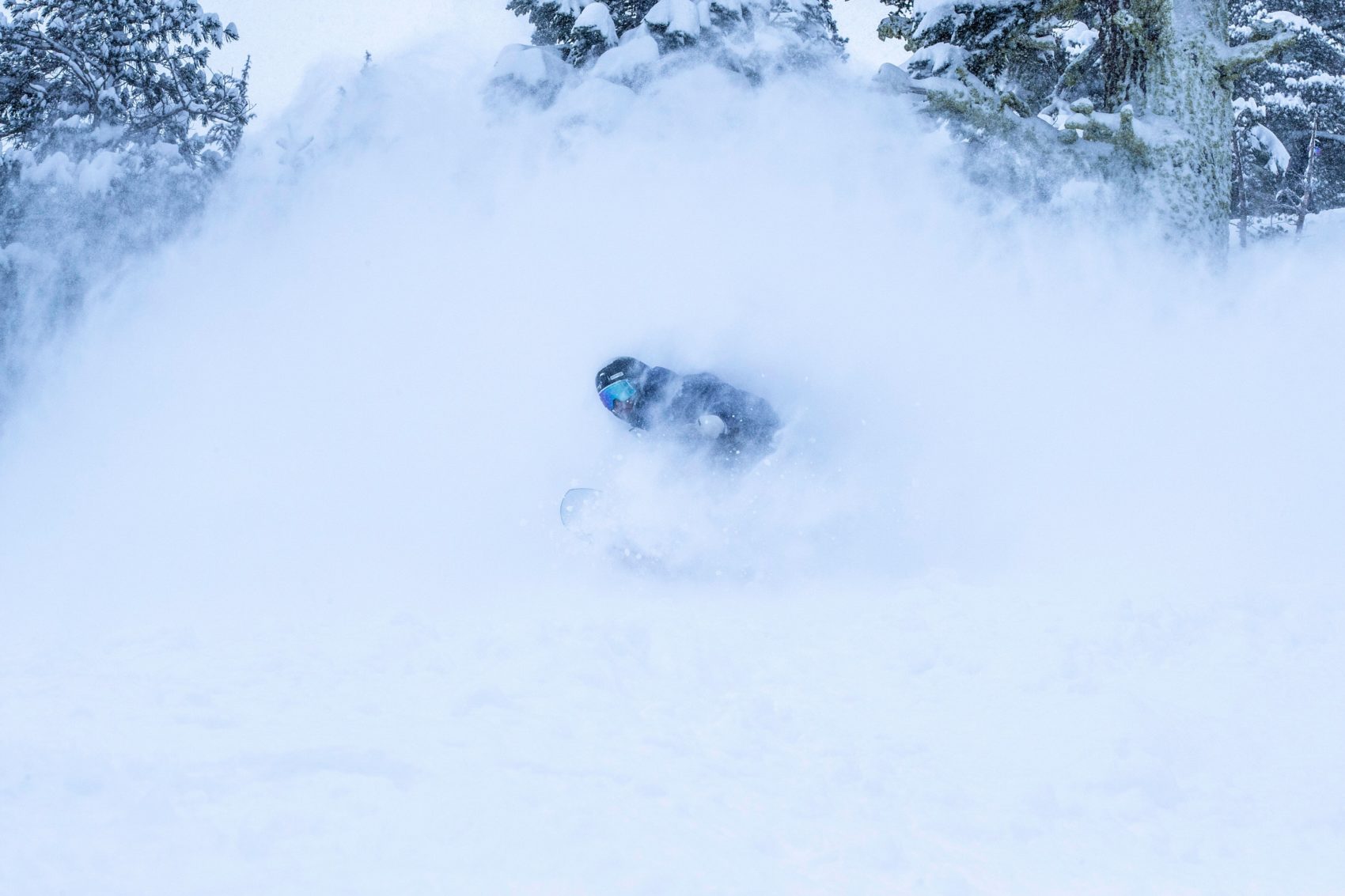 Squaw Valley, alpine meadows, california