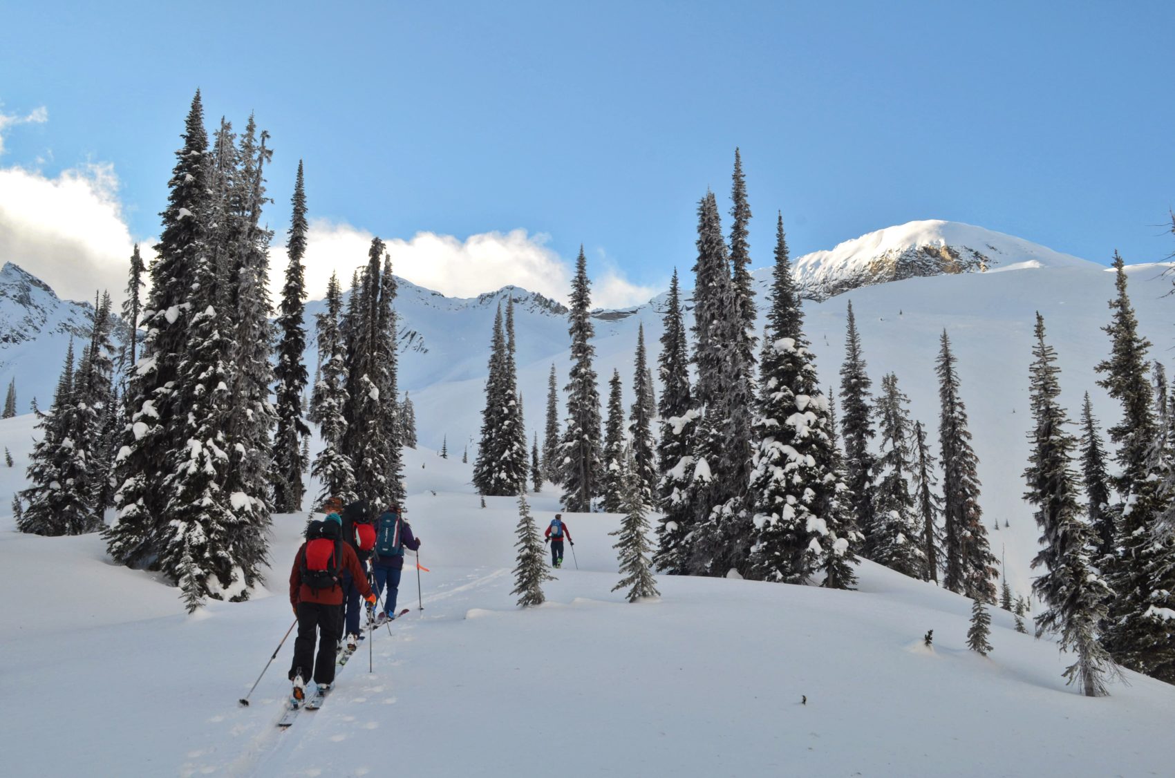 Walking through tree line.