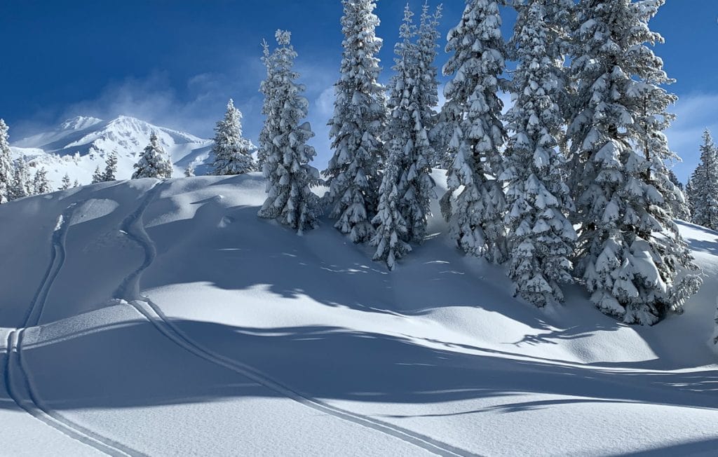 Shasta, avalanche