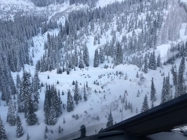 Fernie, avalanche