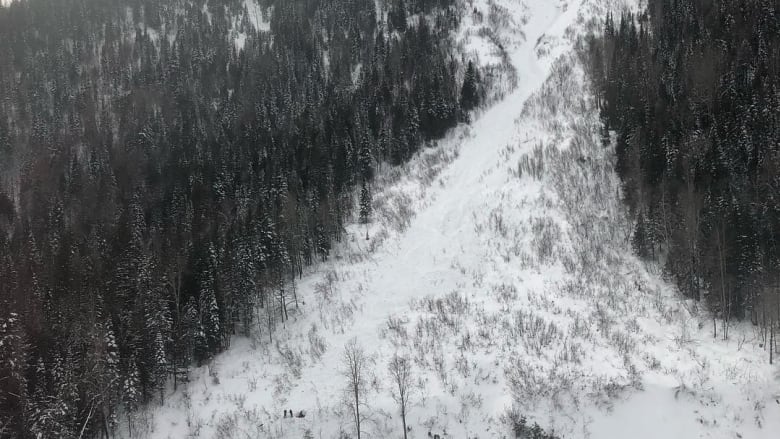 Fernie, avalanche