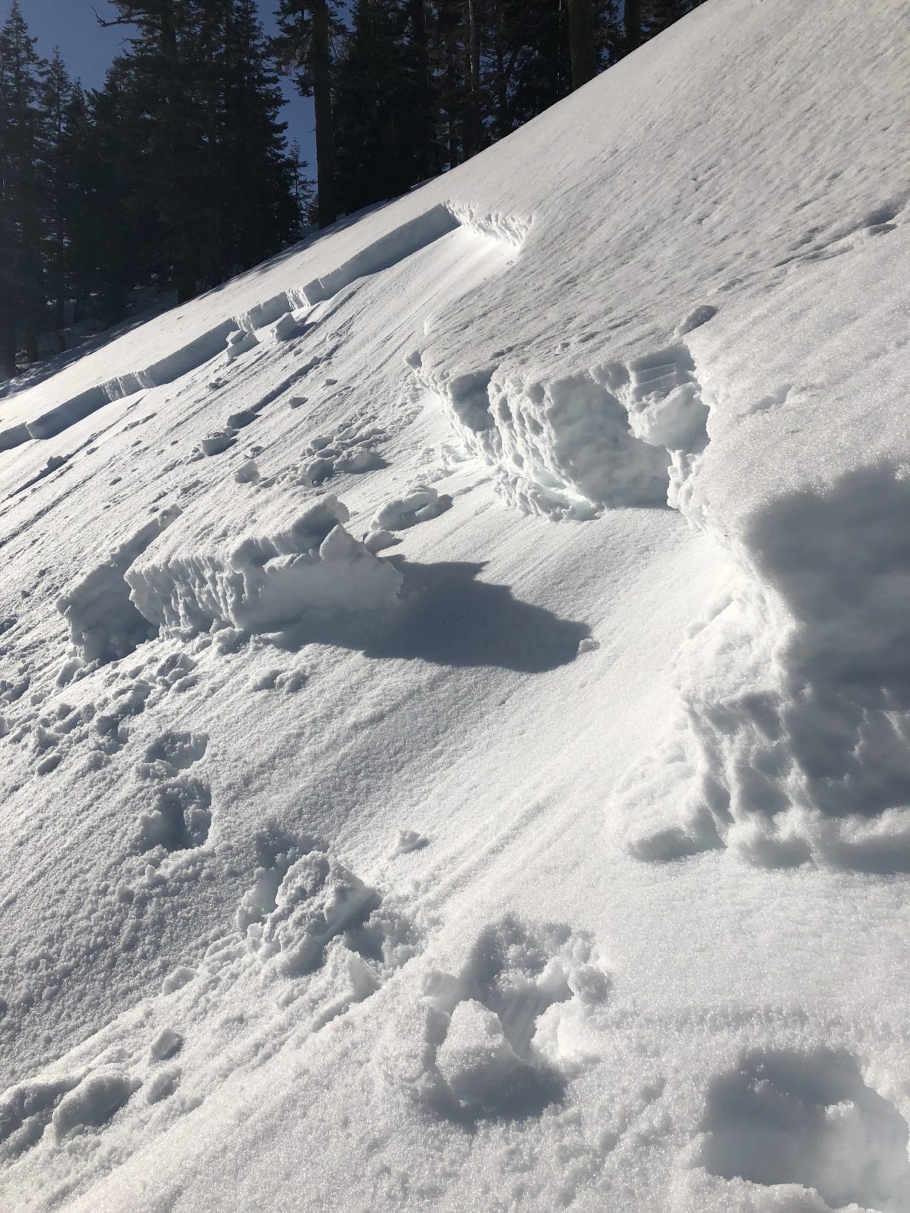 avalanche, shasta, california