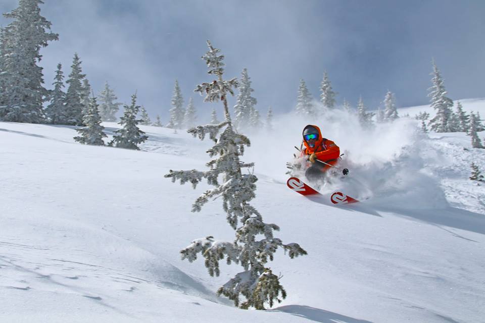 skiing pow