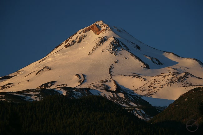 shasta, california