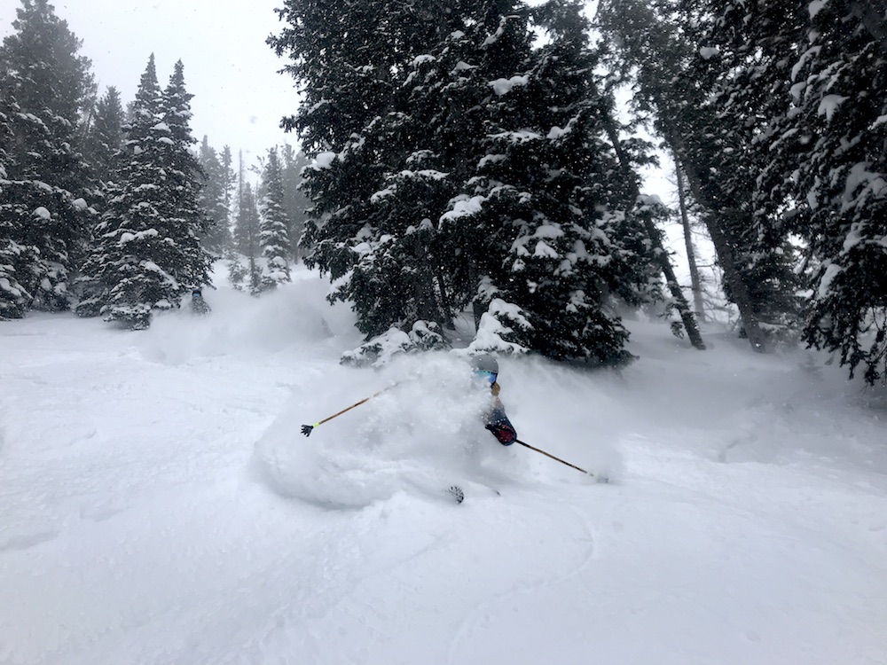 Alta, UT Report 27Inches of Snow in 24Hours... SnowBrains