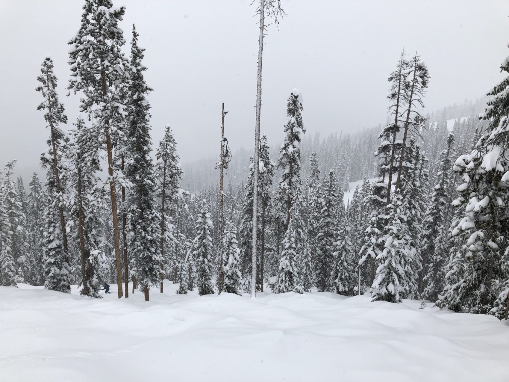 winter park, colorado, powder day, Mary Jane 