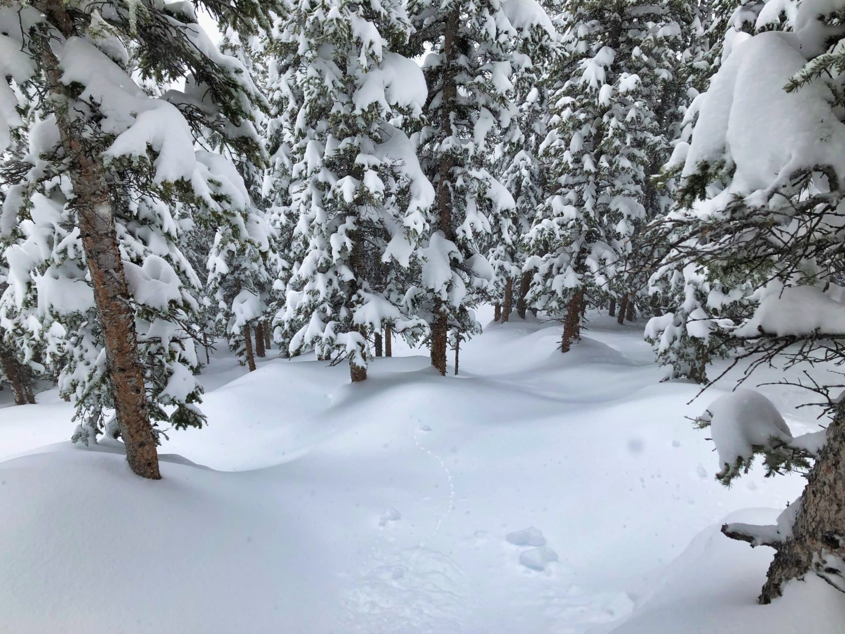 winter park, colorado, powder day, Mary Jane