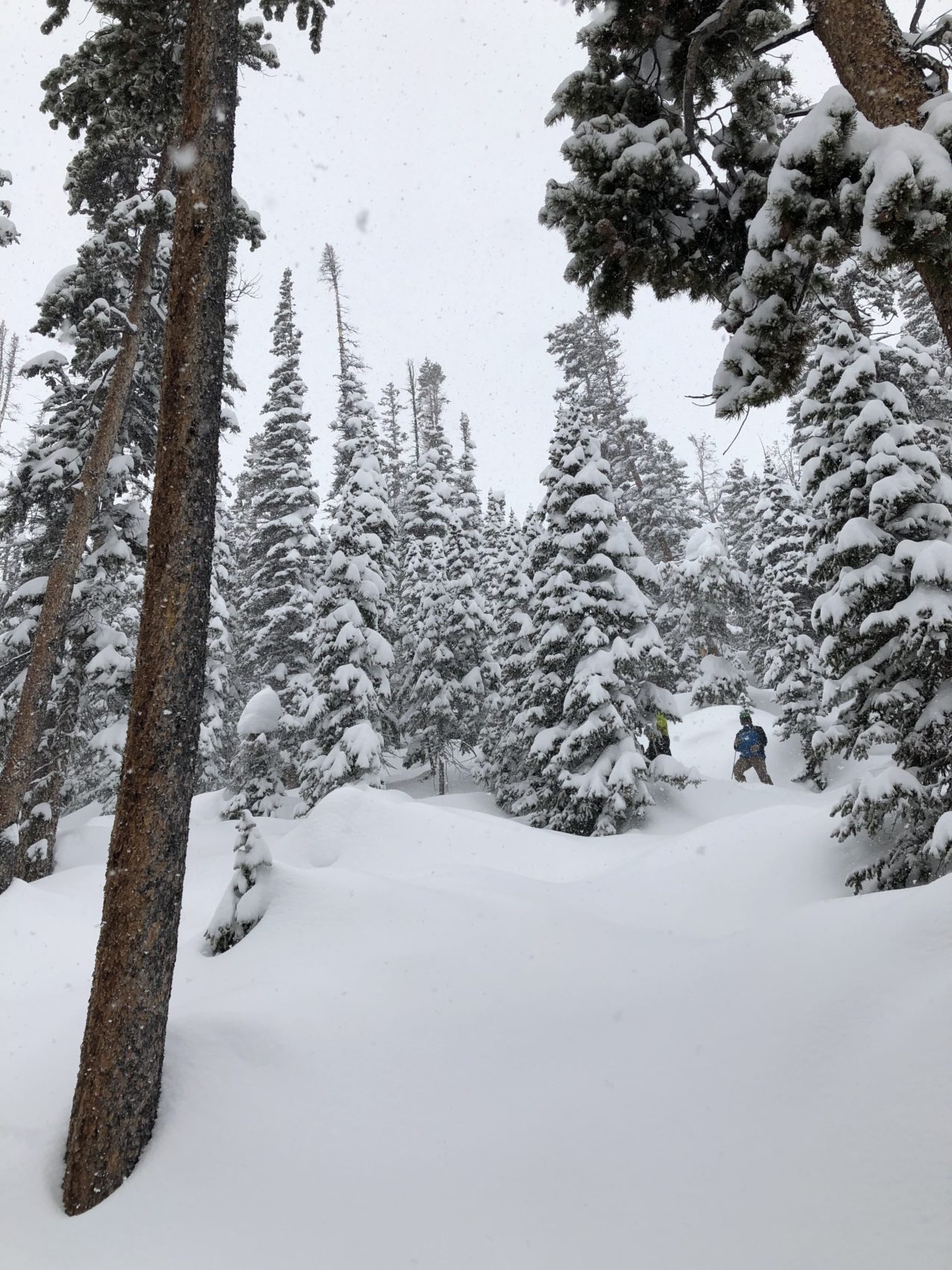 winter park, colorado, powder day, Mary Jane 