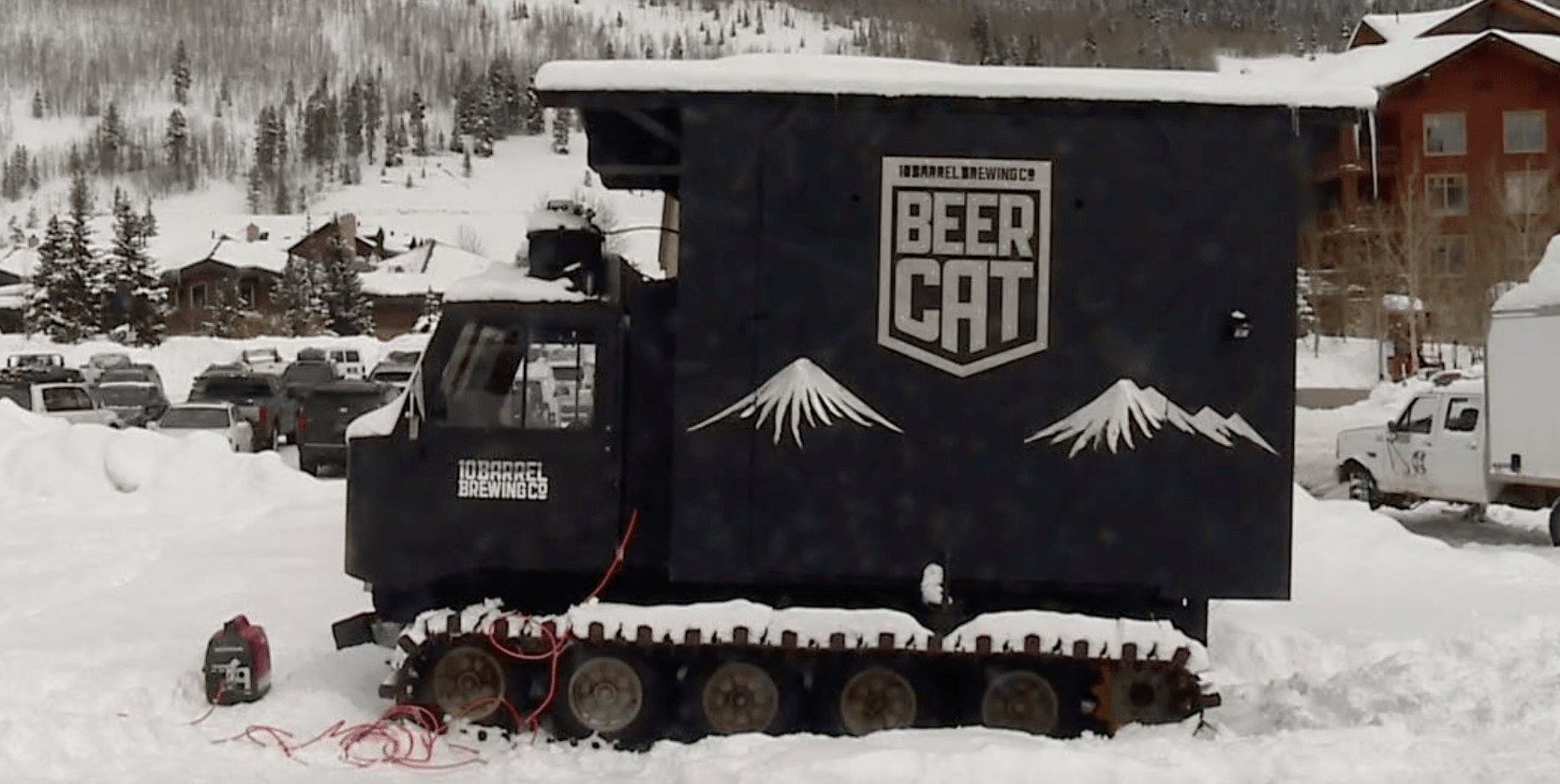 beer cat, copper, colorado, aspen, Eldora,