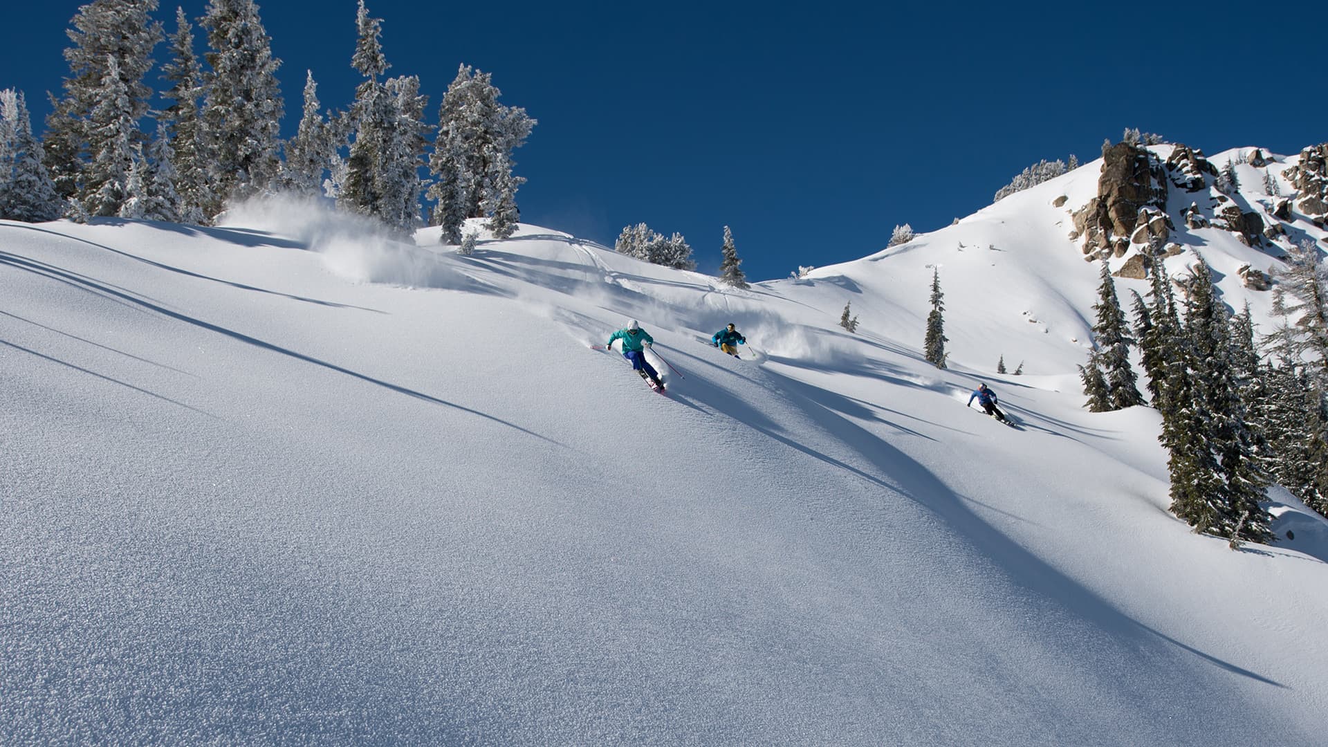 ikon pass, ikon, Squaw Valley, alpine meadows,