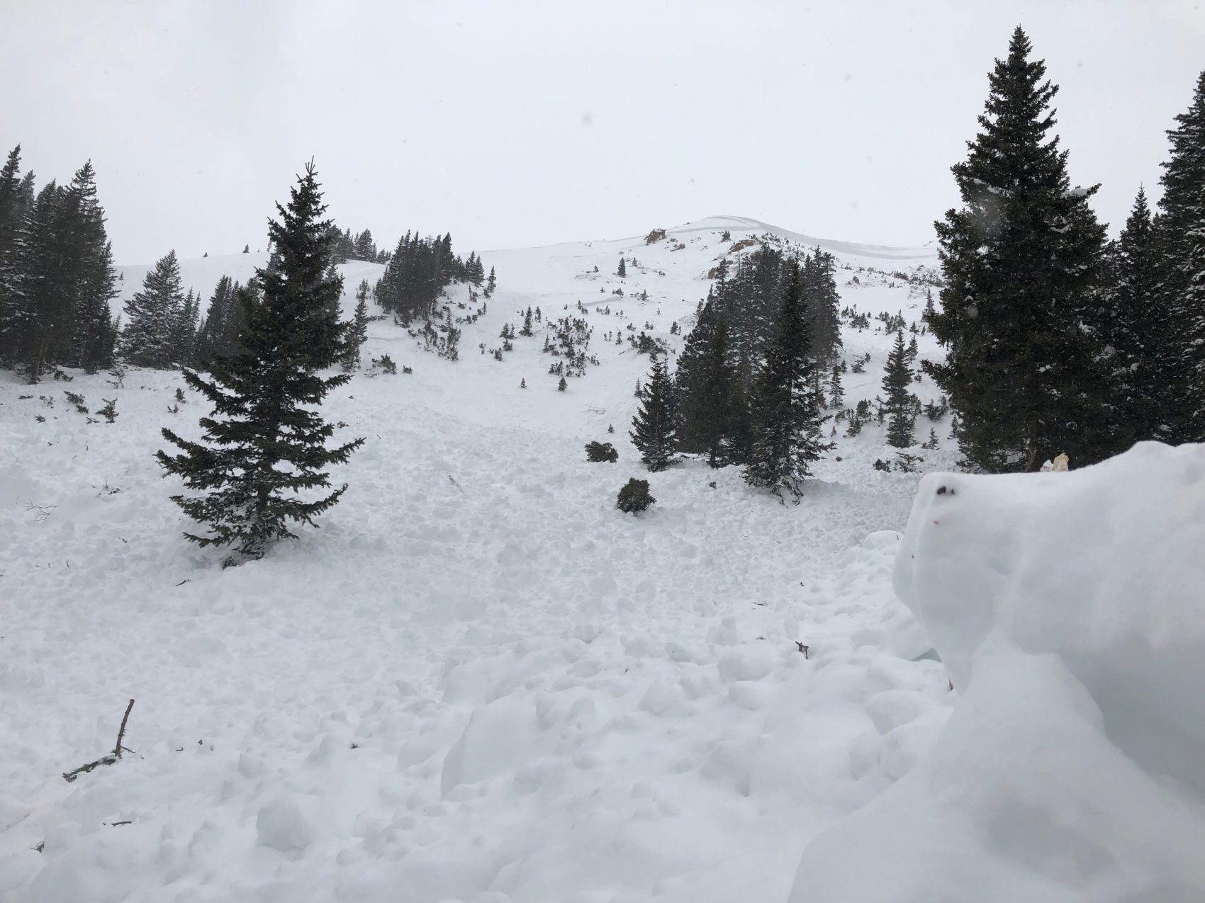 avalanche, colorado, guide killed, powder addiction, jones pass