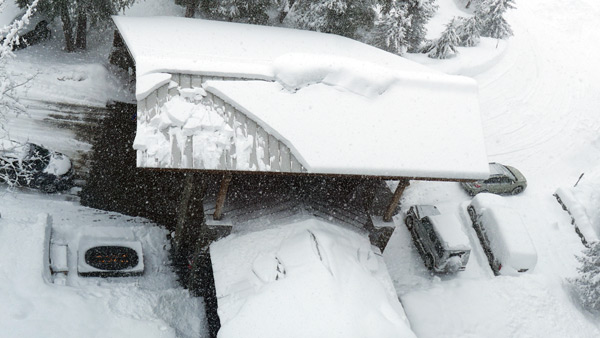 roofalanches, crested butte, colorado