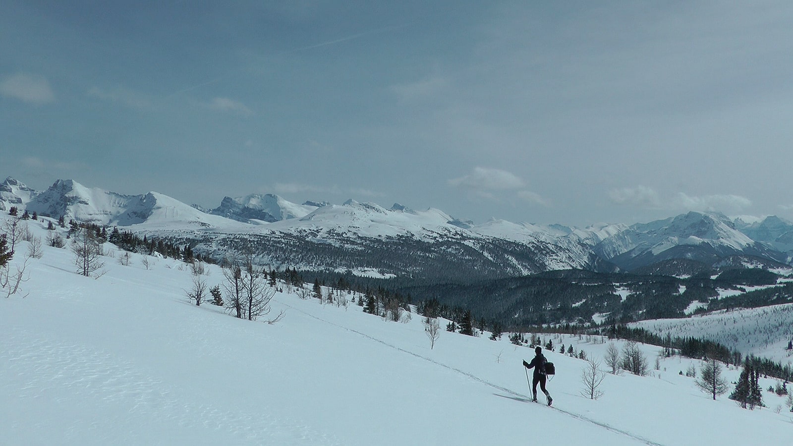 avalanche, Banff, canada, skier killed, Egypt Lake,