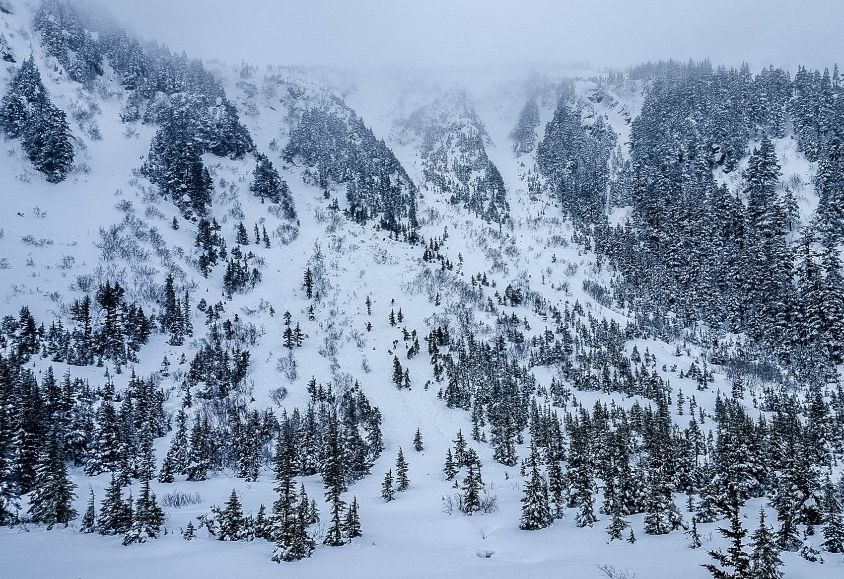 alaska, avalanche