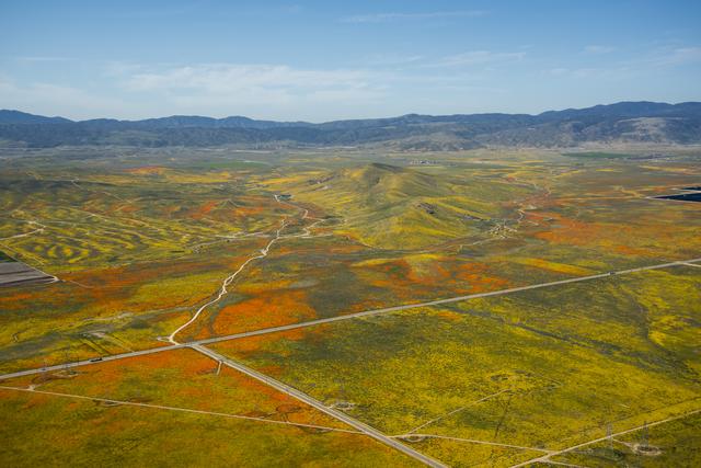 california, superbloom, nasa