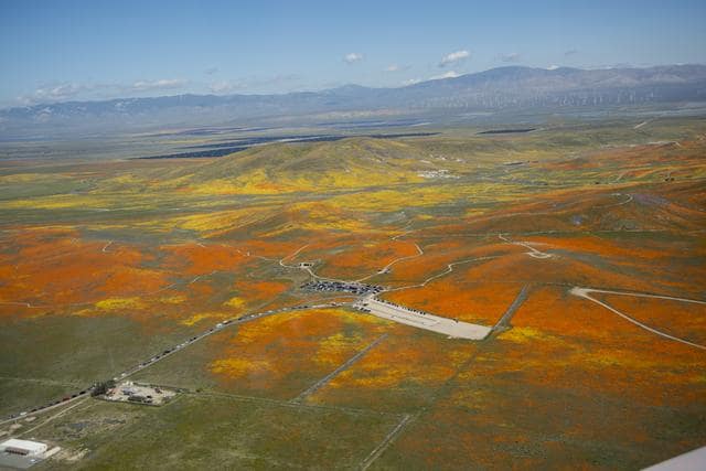 california, superbloom, nasa