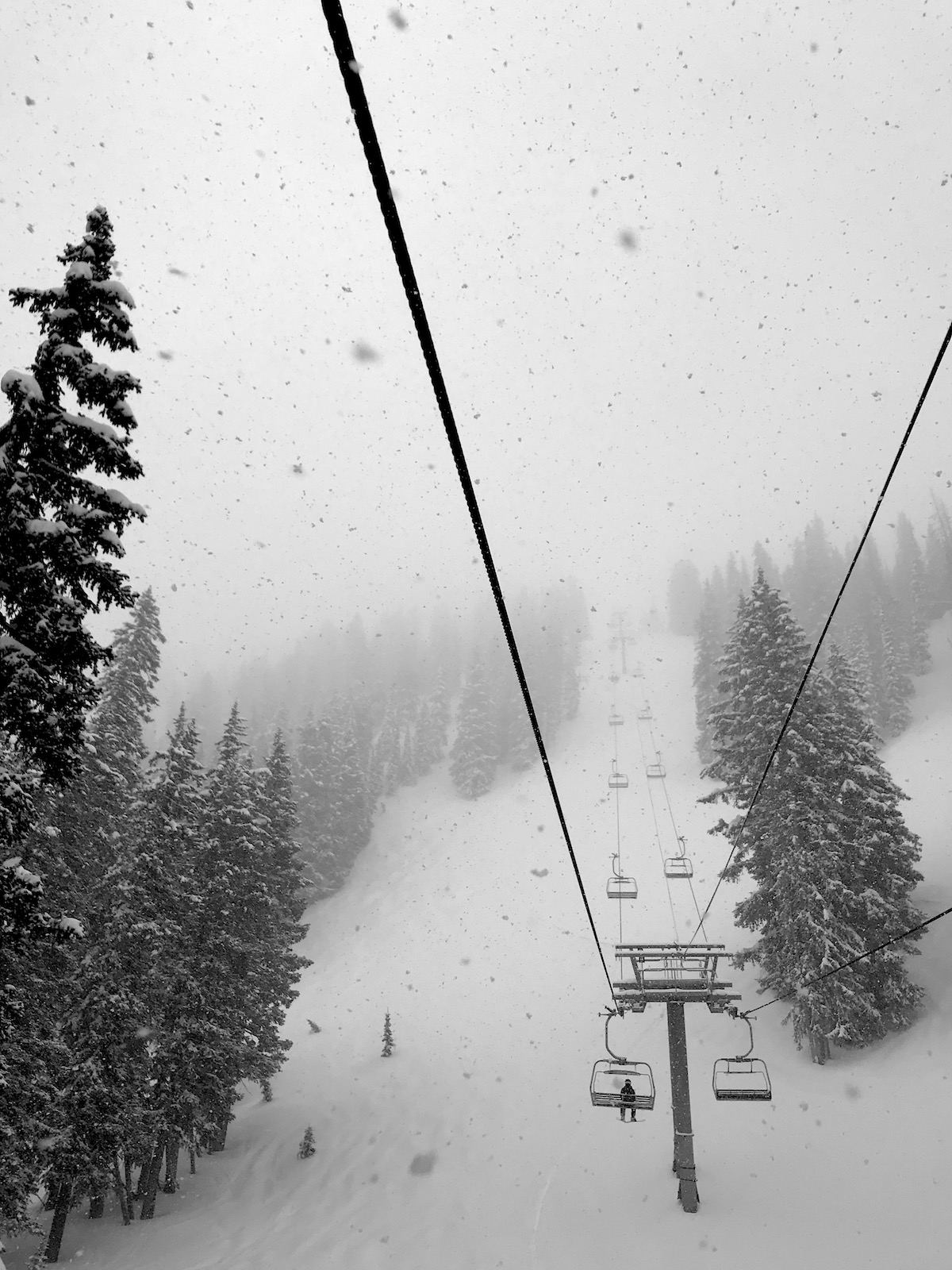 Snowbird, UT Report: Dense Powder Day Rippin' - SnowBrains