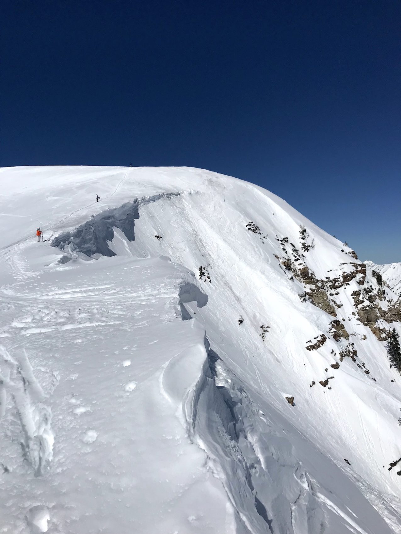 Alta, UT Report: Mt. Baldy 100% Open + Wiggle Season Begins! - SnowBrains1275 x 1700