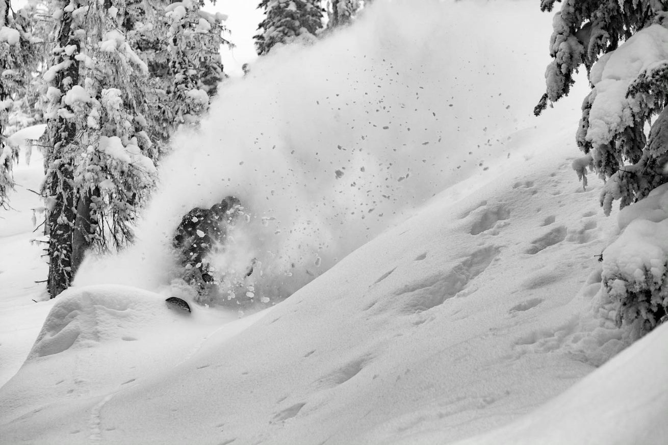 pow slashing in the trees