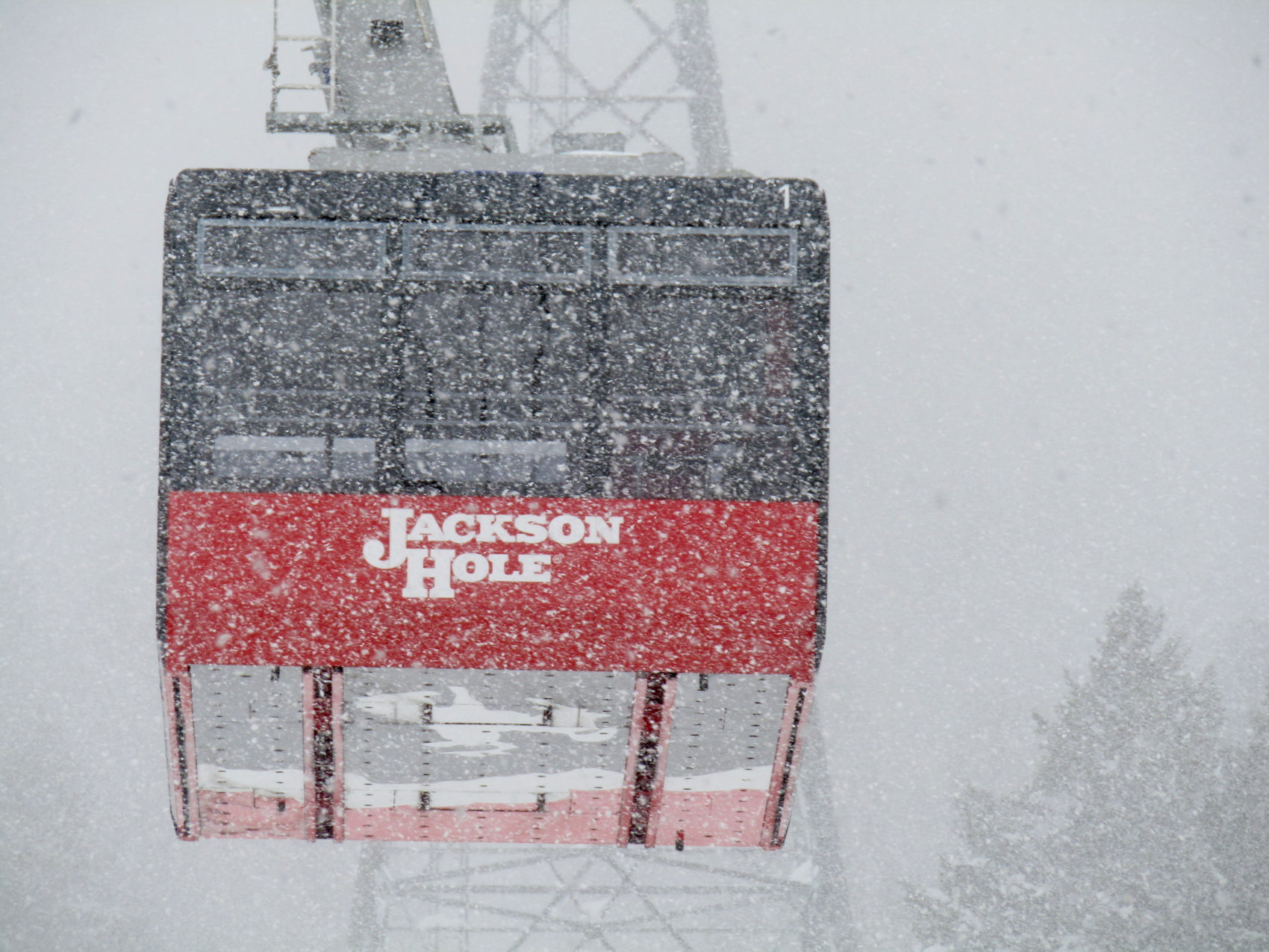 Jackson Hole, wyoming, forecast, snow