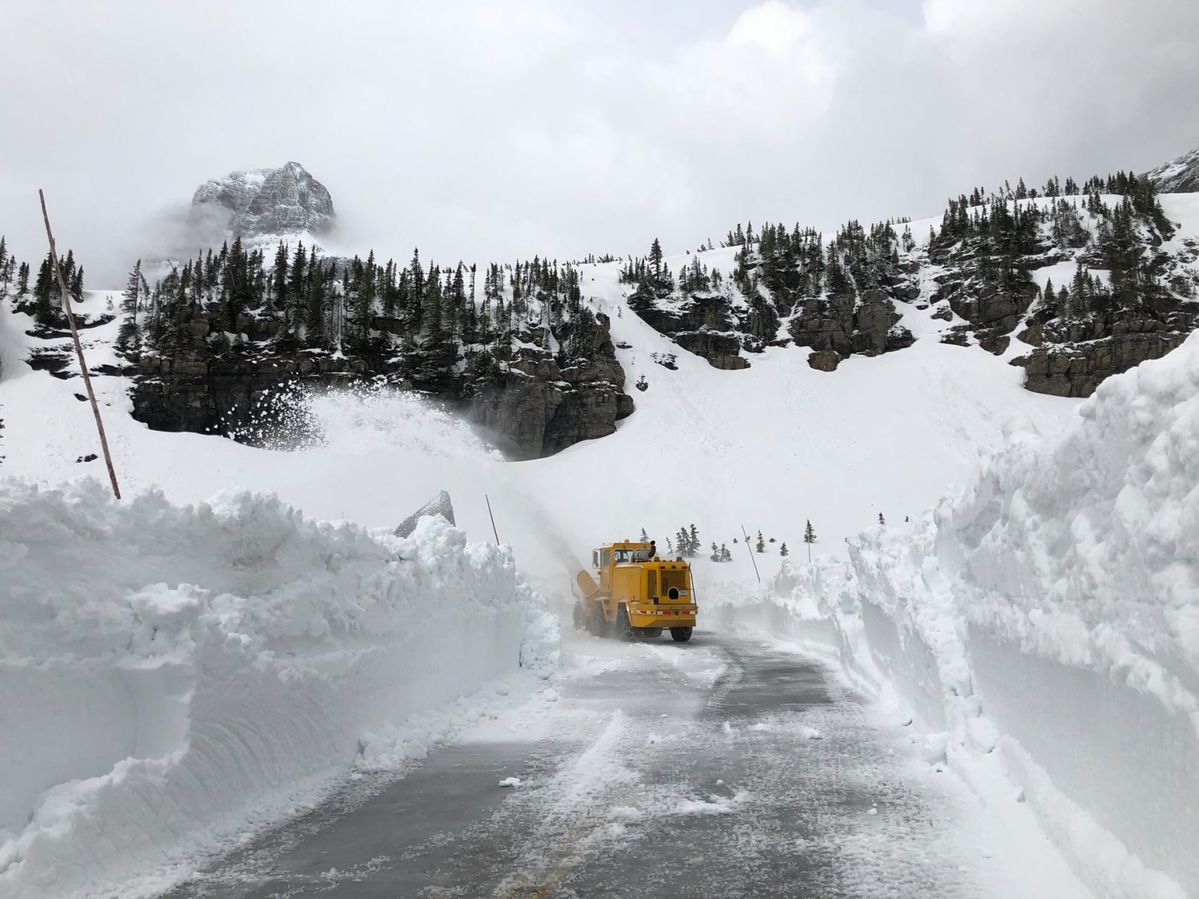 glacier national park, montana, Logan pass, going to the sun