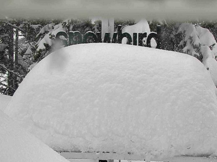 Snowbird, UT Just Passed 700" Total Snowfall for the Season