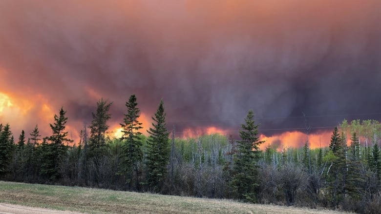 alberta, wildfire, canada, high level, state emergency, evacuation, wildfires