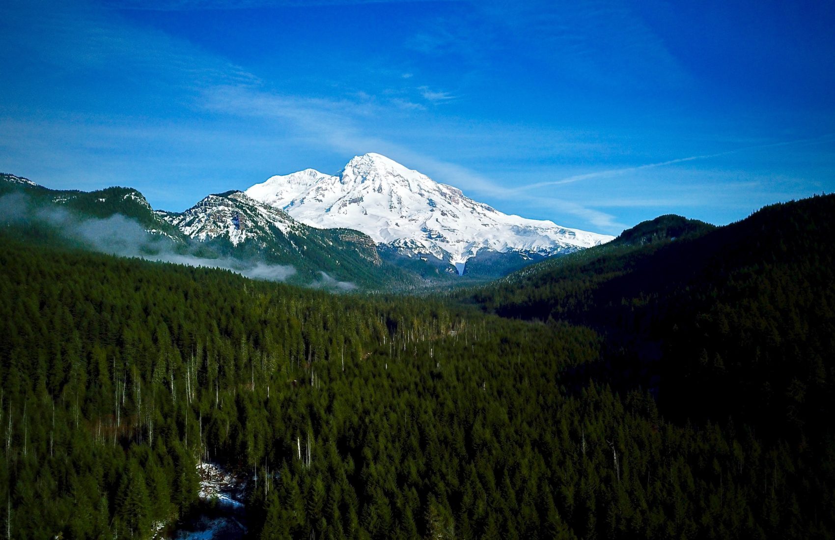 Mount Rainier National Park - Discover Lewis County