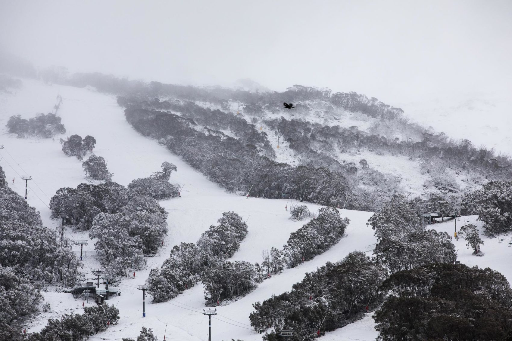 Australia, down under, forecast, snow, winter 2019, Australian, 