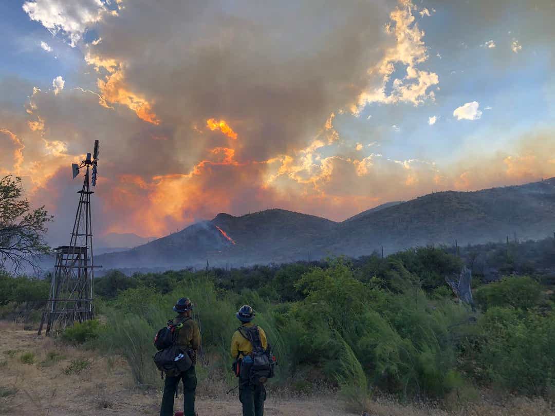 wildfire, fire, california, heatwave, Arizona, wildfires