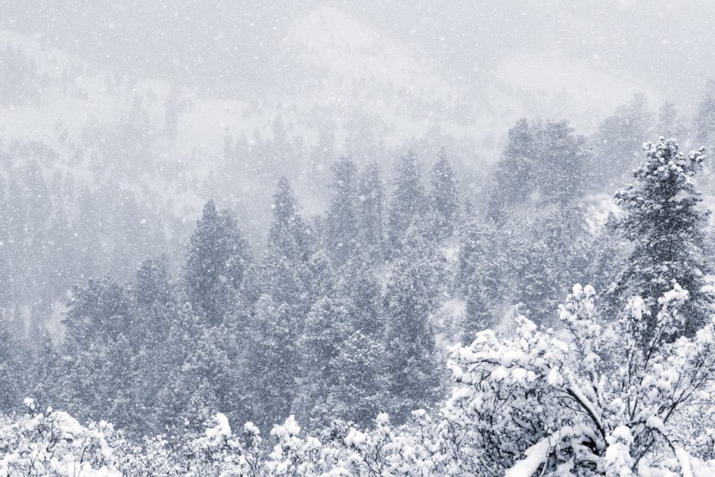 snow, colorado, June, summer