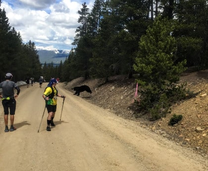 bear, Leadville, colorado, marathon, runners