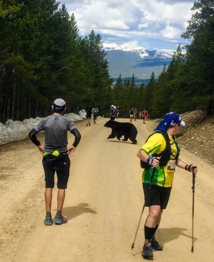 bear, Leadville, colorado, marathon, runners