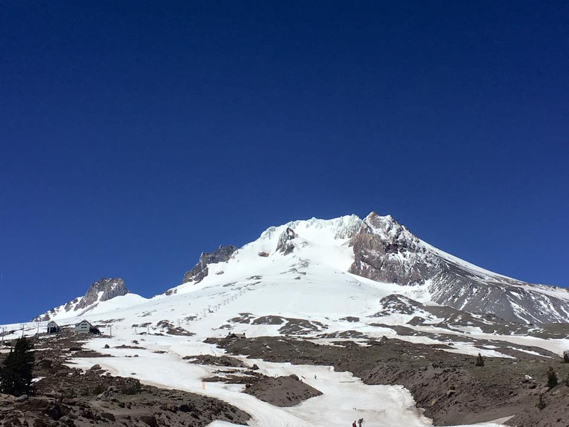 mt hood timberline 