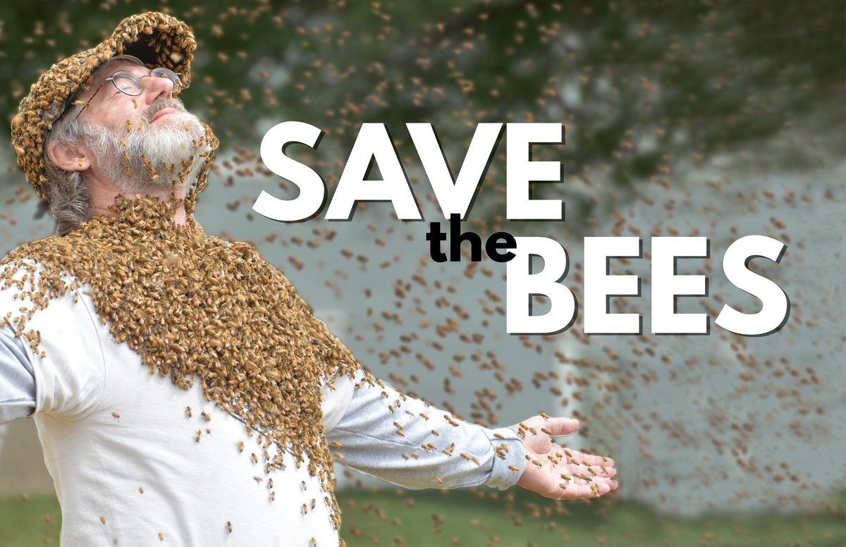 save the bees 