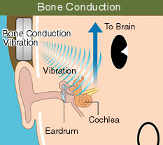 hearing process, how sound waves transfer vibrations, headphones