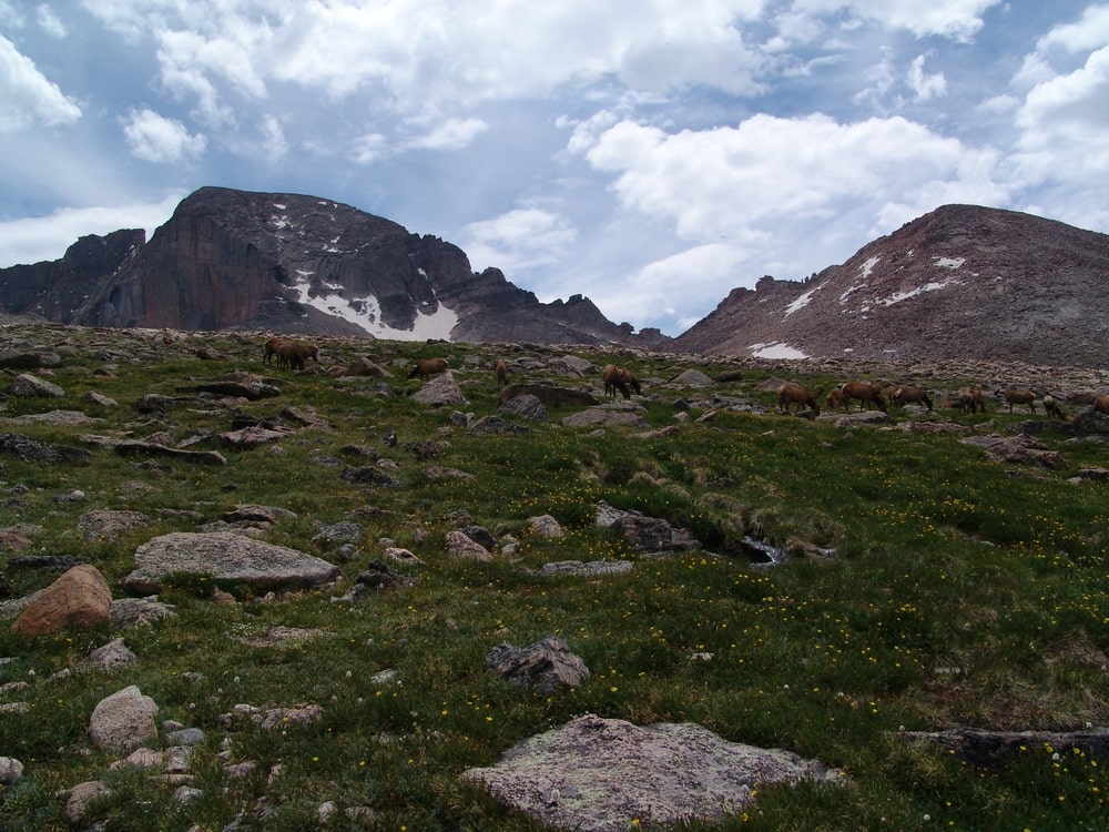 teenager, falls, colorado, longs peak, mount meeker,