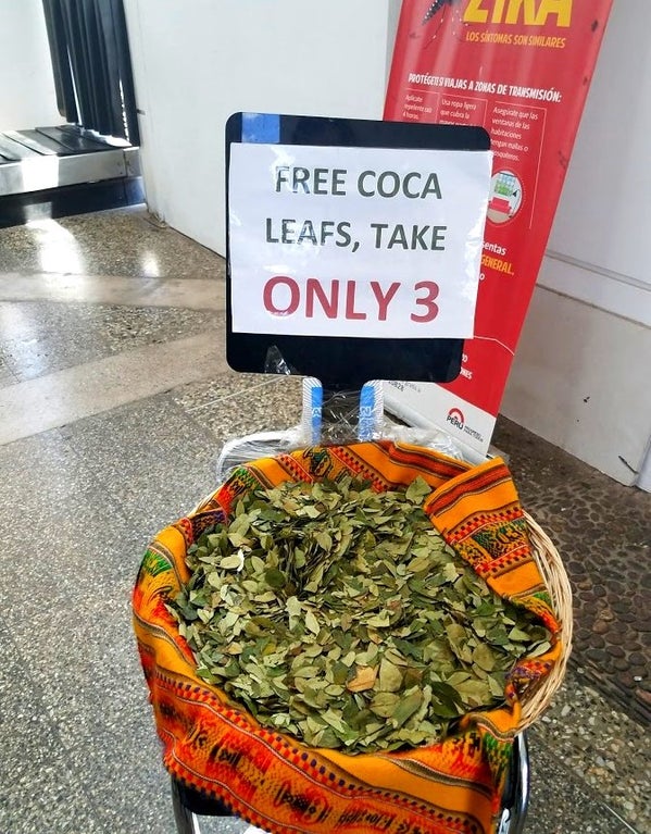 coca leaves for altitude sickness, mountaineer, HAPE