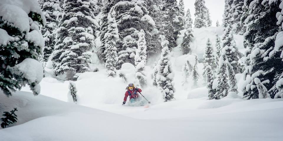 Elyse Saugstad was the Freeskier Magazine "2018 Female Skier of the Year." 