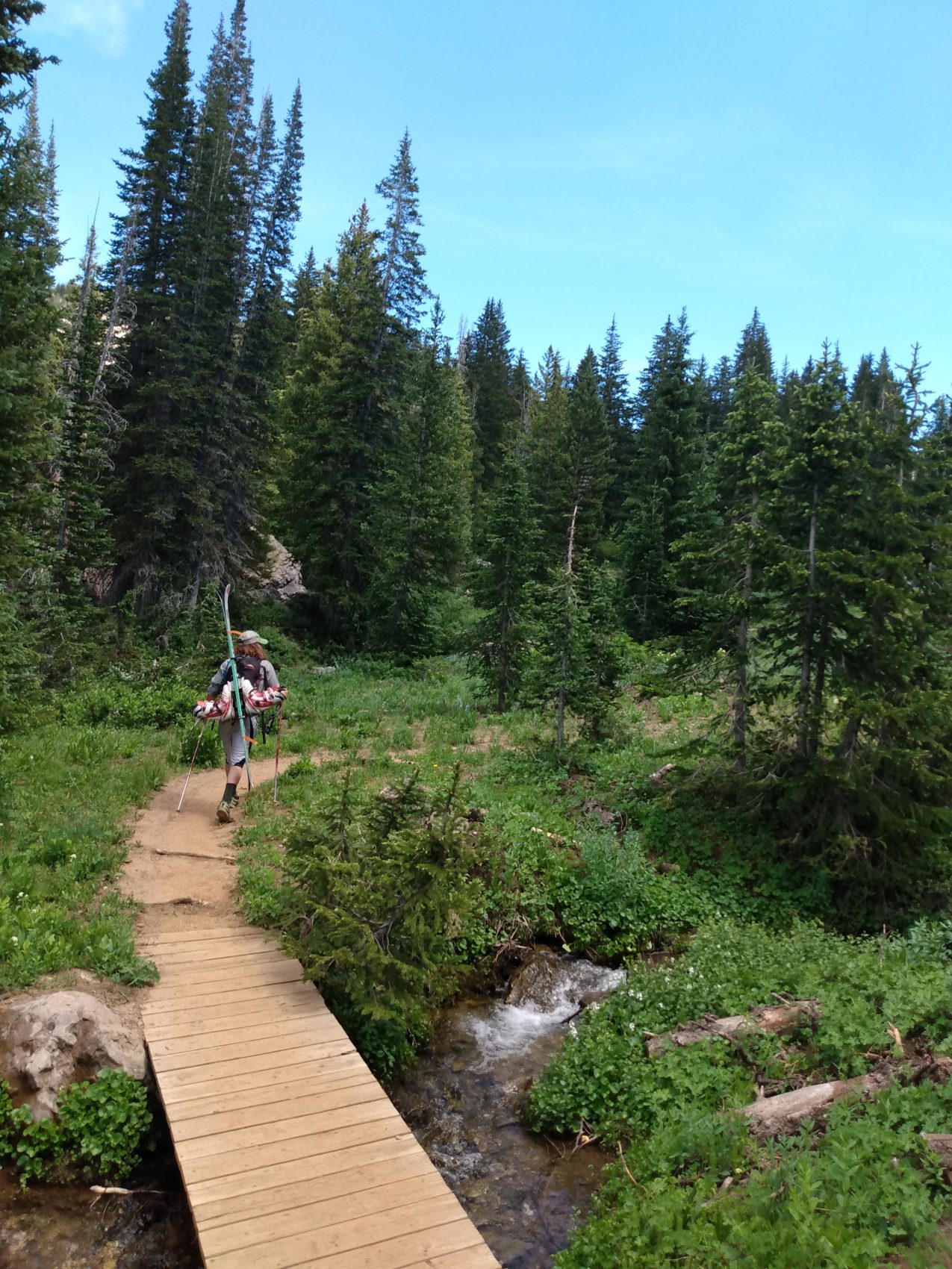 alta ski area summer 