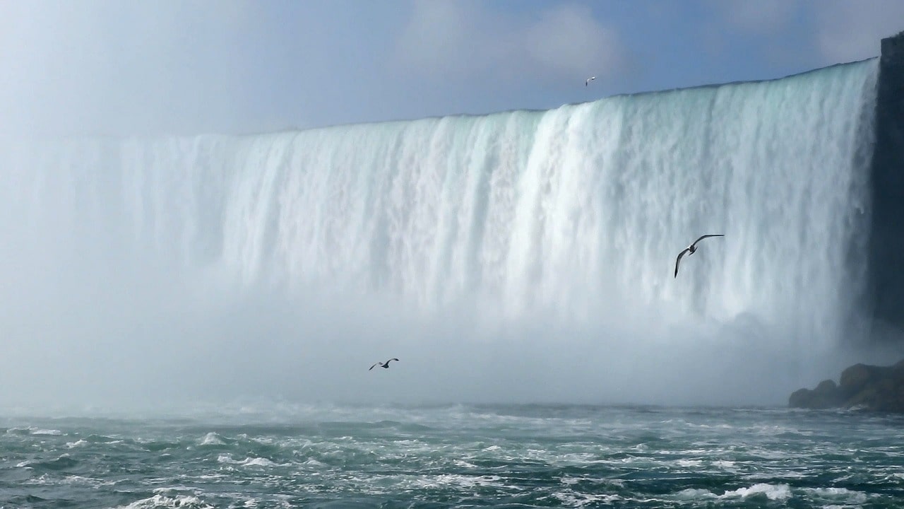 Niagara Falls, man survives, canada, 