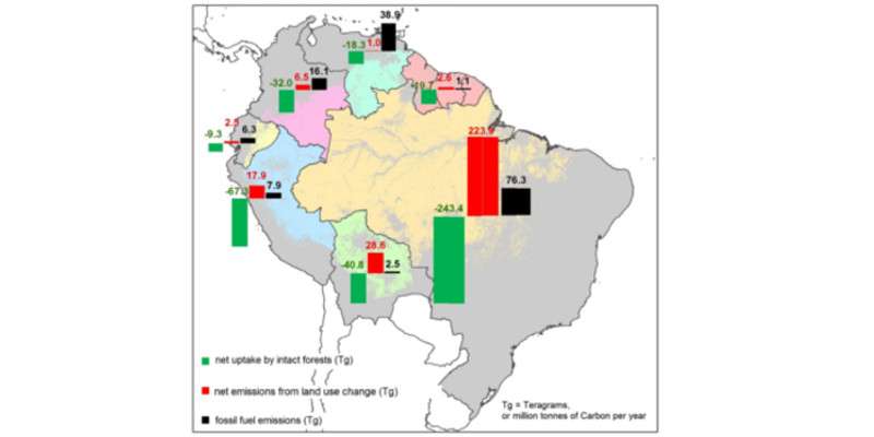 A diagram of the Amazon's carbon uptake
